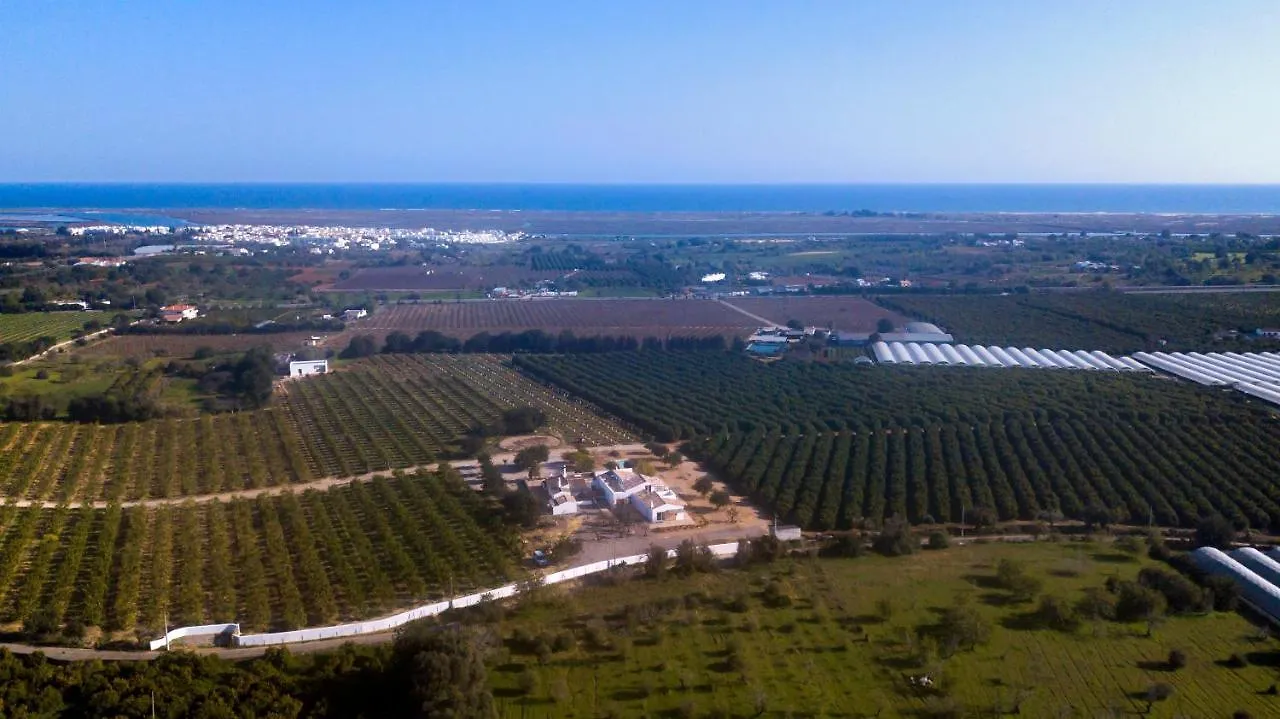 Prázdninový dům Vila Quinta Da Pintassilga Tavira Portugalsko