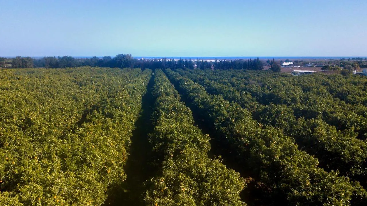 Vila Quinta Da Pintassilga Tavira